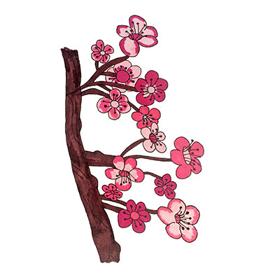 Cherry Blossoms Print - Tanya Madoff